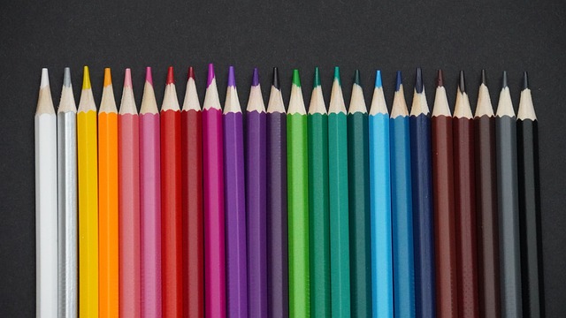 的那支球队
